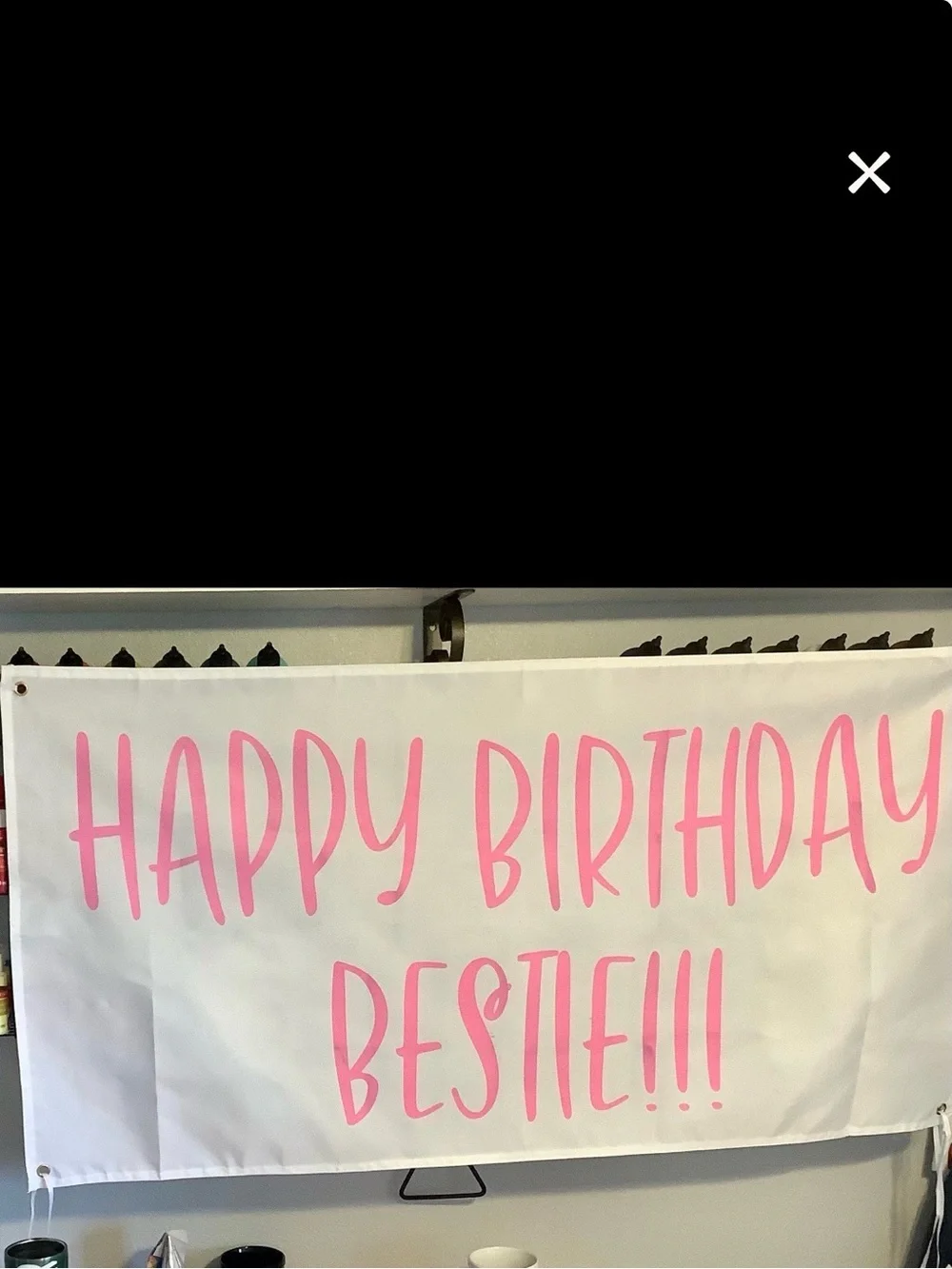 Letterkenny Super Soft Birthday Decor/Balloons